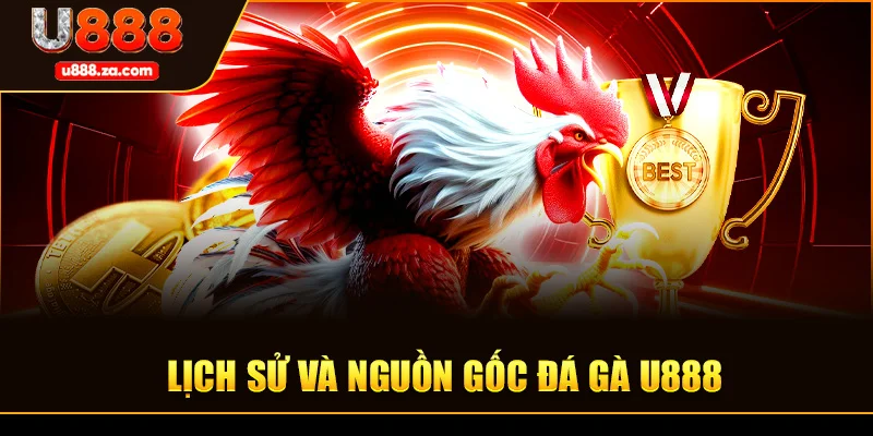 Lịch Sử Và Nguồn Gốc Đá Gà U888