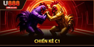 Gà chọi C1
