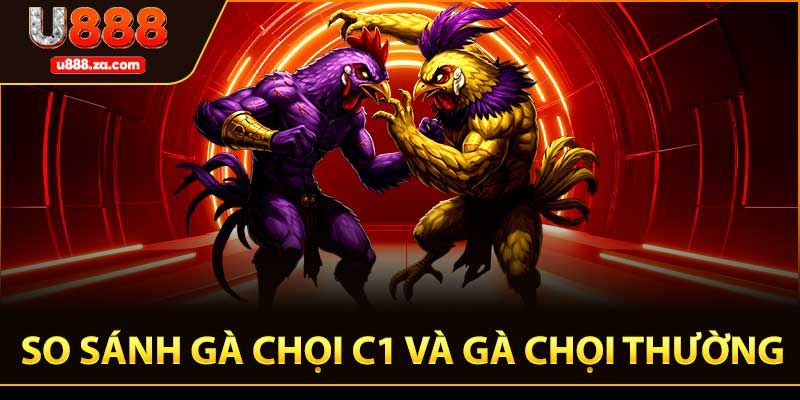 So Sánh Gà Chọi C1 Và Gà Chọi Thường